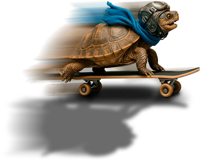 Tortuga con casco en patineta, la mascota de Acelera